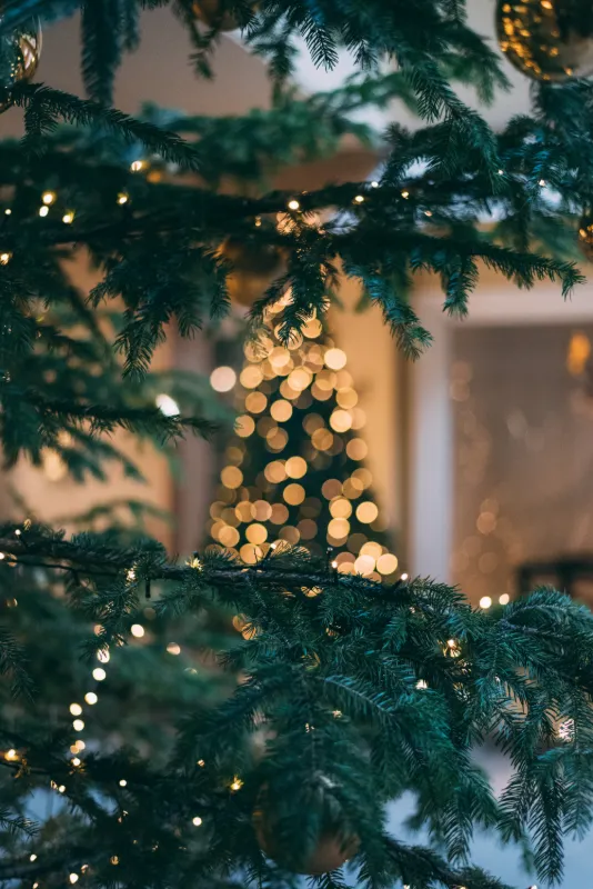 Julstämning i Skaraborg