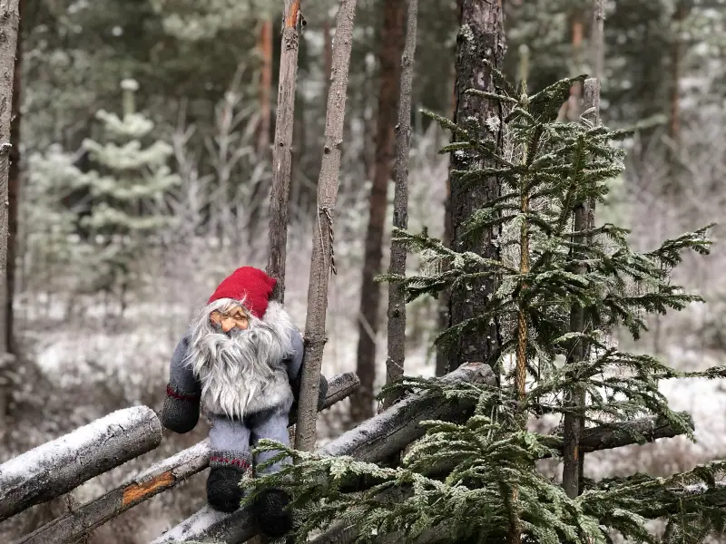 Brunskogs Julmarknad