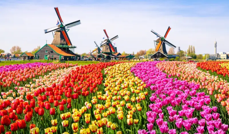 Holland