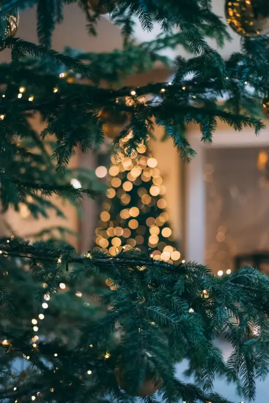 Julstämning i Skaraborg