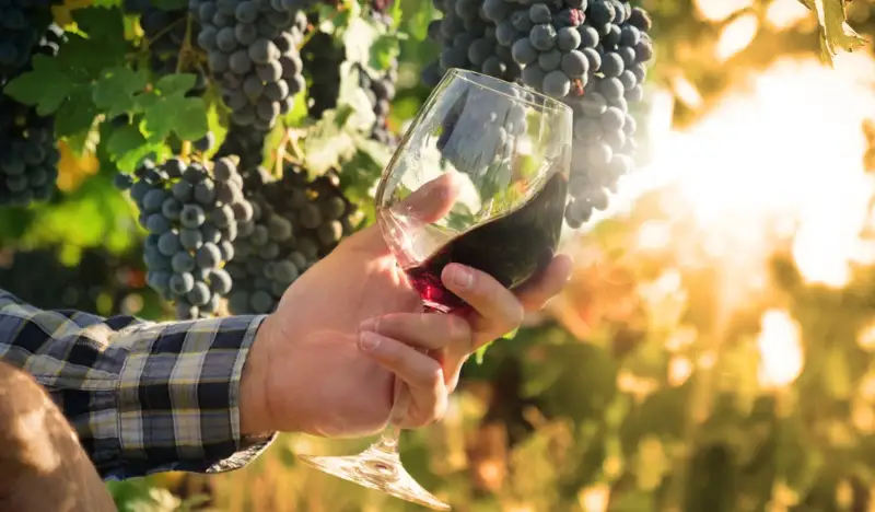 Italien vinresa