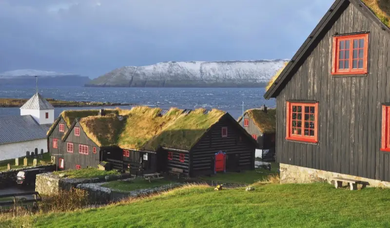 Vikingakryssning