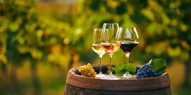 Skåne vin & konst