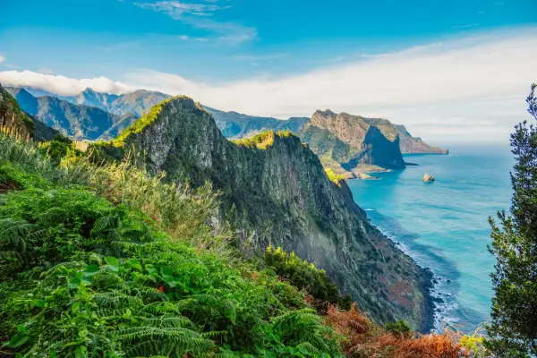 Madeira - 8 dagar