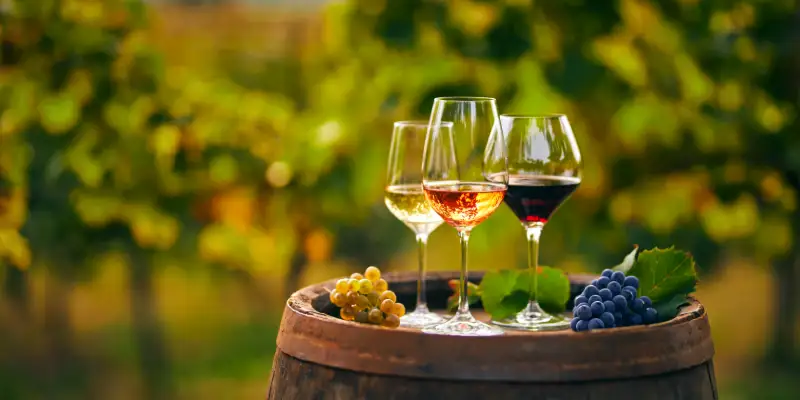 Dagstur Bohuslän Mat & Vin