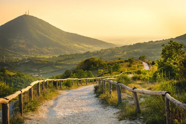 Vinvandring Veneto - 8 dagar